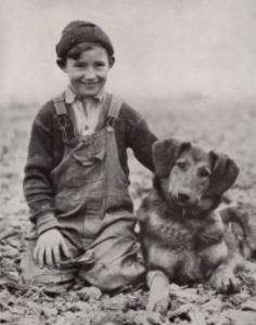 boy and a dog